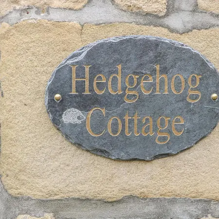 בית נופש Hedgehog *